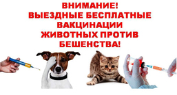 В связи с выявленным случаем  бешенства у домашней кошки  в д. Неёлово  будет проводиться  профилактическая вакцинация домашних животных  против бешенства.