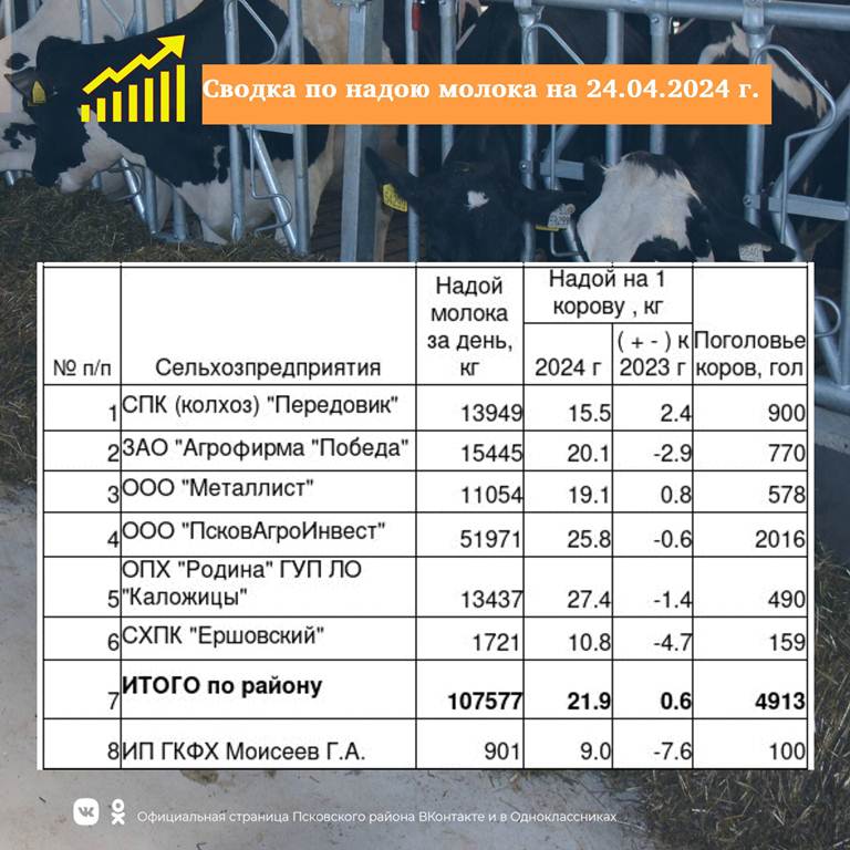Сводка по надою молока в сельскохозяйственных предприятиях Псковского района на 24 апреля 2024 года..
