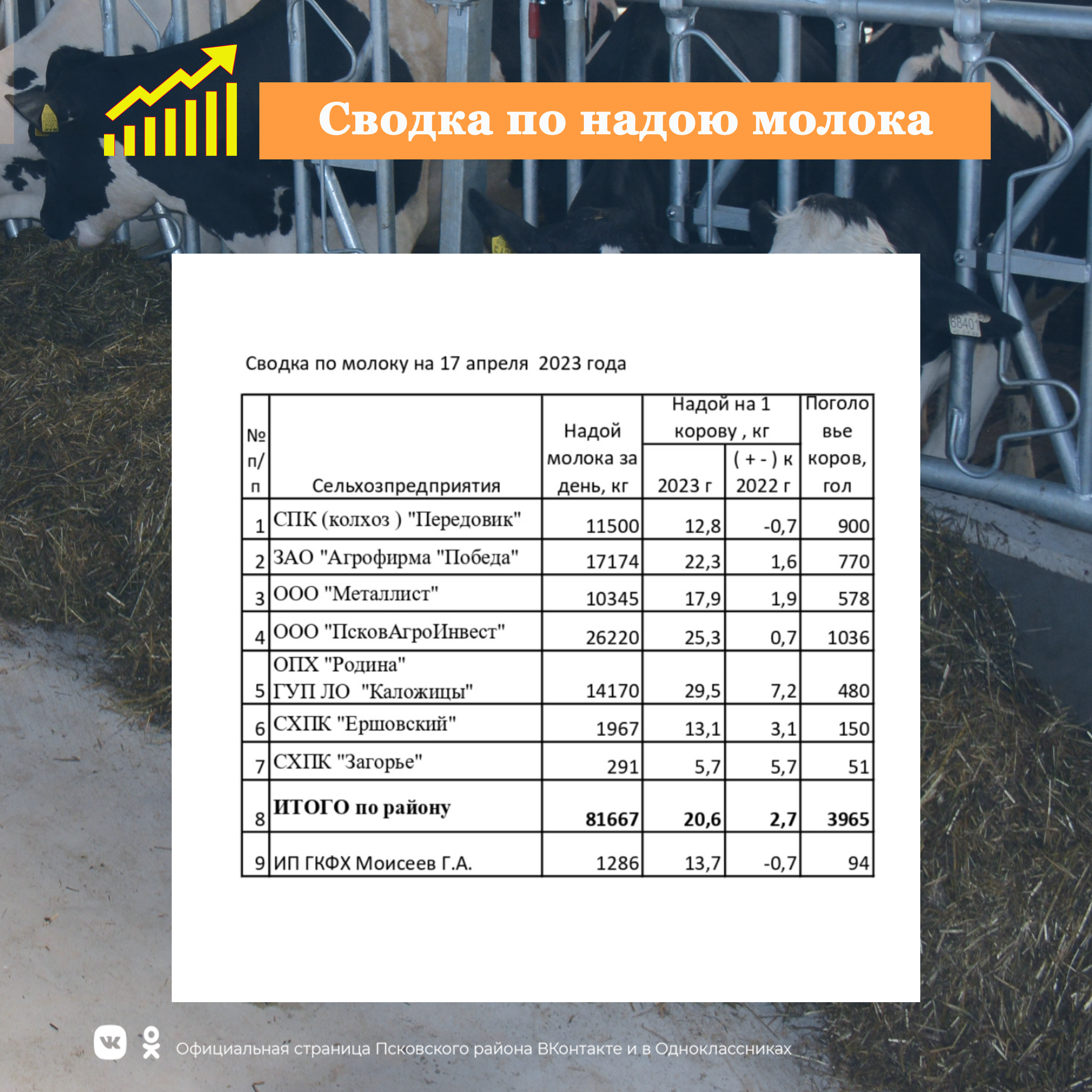 Сводка по надою молока в сельскохозяйственных предприятиях Псковского района.