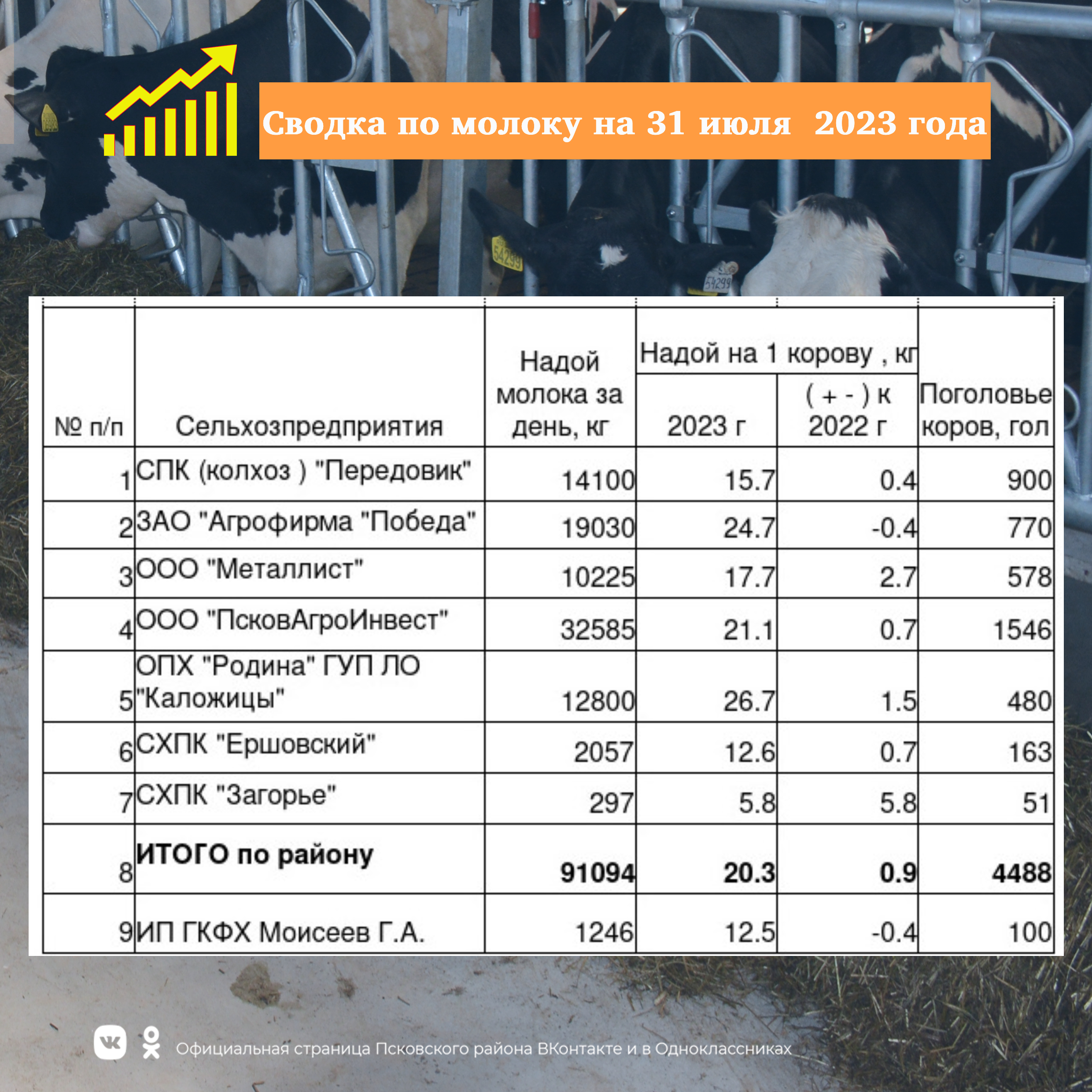 Сводка по молоку на 31 июля  2023 года.