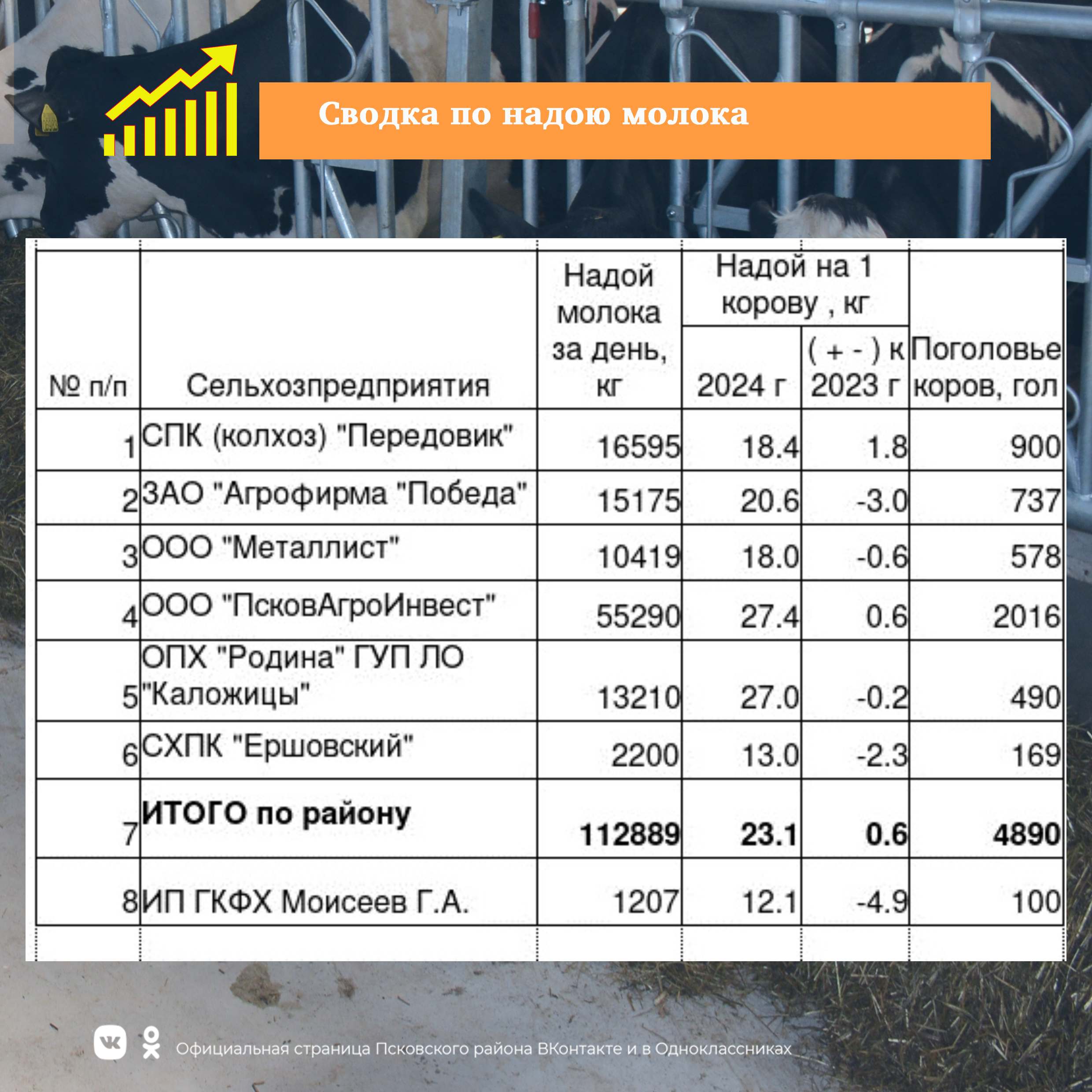 Сводка по молоку на 11 июня  2024 года.