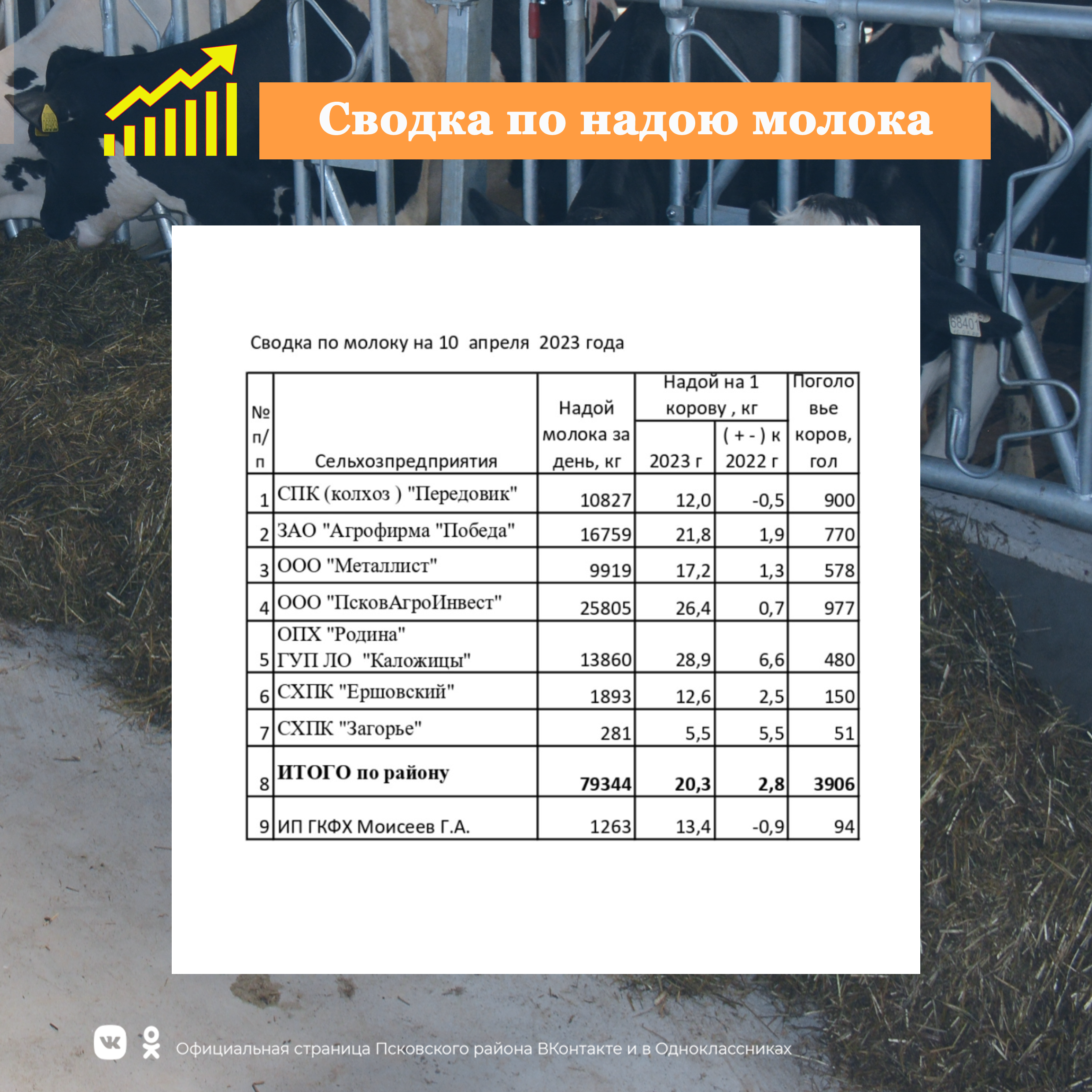 Сводка по надою молока в сельскохозяйственных предприятиях Псковского района.