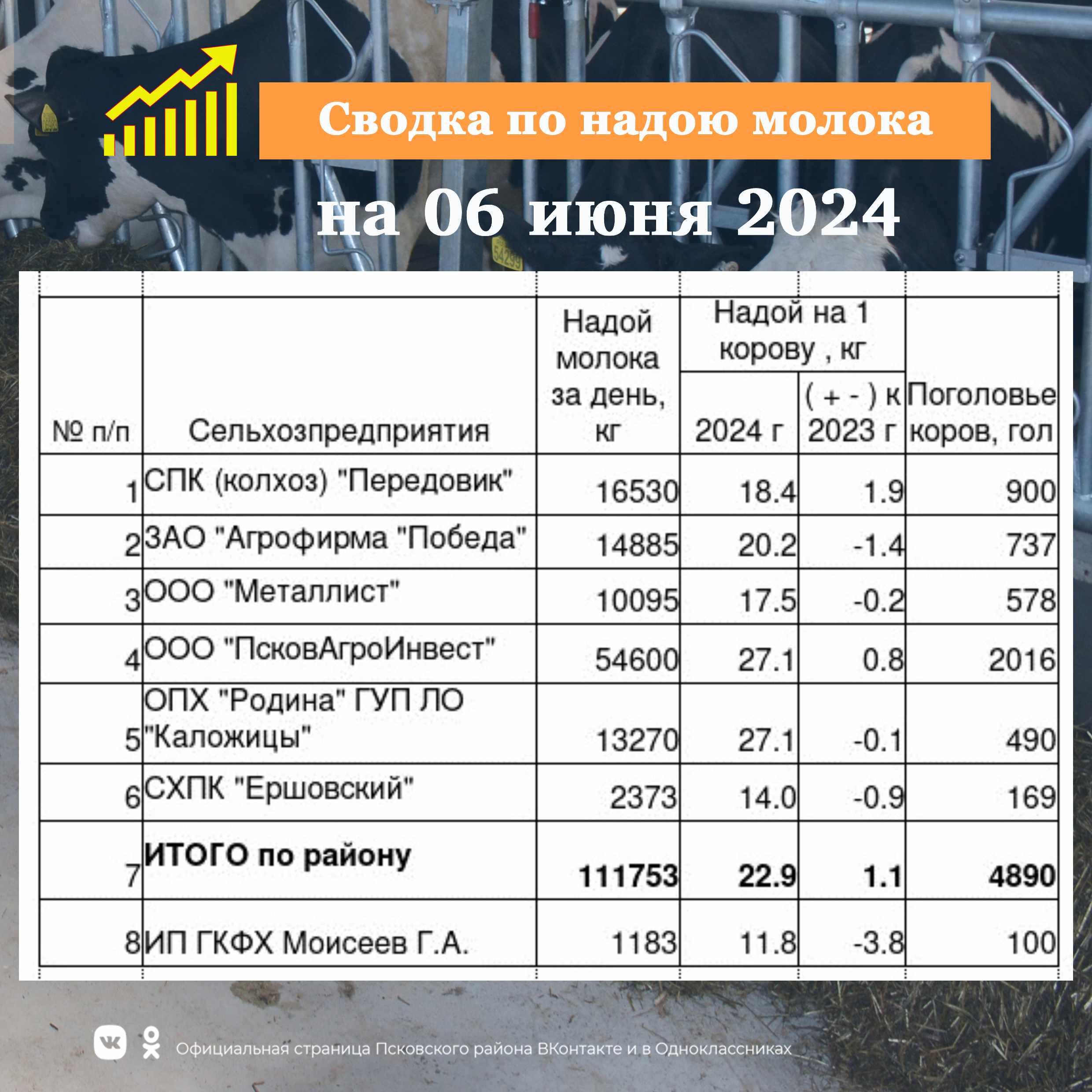 Сводка по надою молока в сельскохозяйственных предприятиях Псковского района на 06 июня  2024 года..