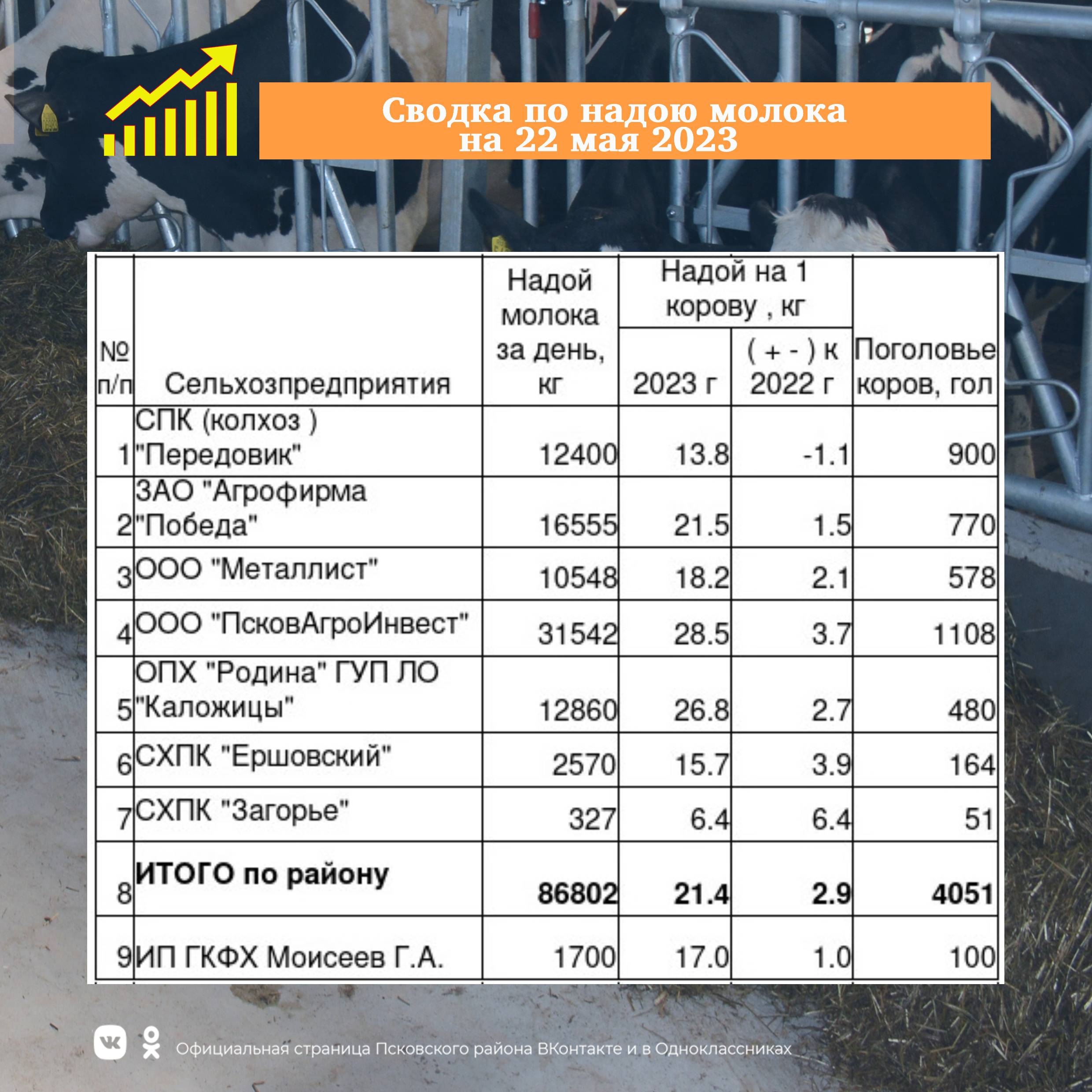 Сводка по надою молока в сельскохозяйственных предприятиях Псковского района..