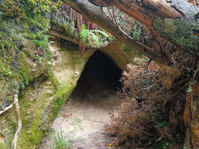 Песчаные пещеры на реке Лочкина.