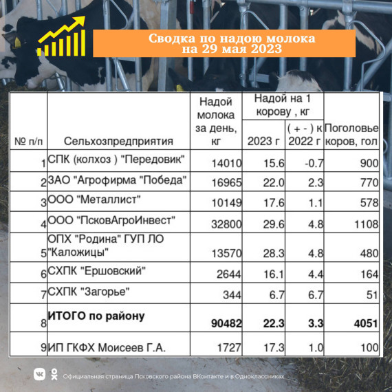 Сводка по надою молока в сельскохозяйственных предприятиях Псковского района.. Сводка по надою молока в сельскохозяйственных предприятиях Псковского района..