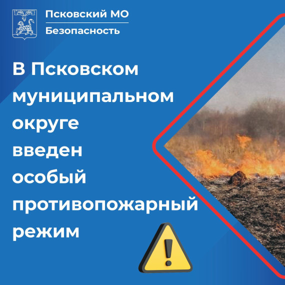 В Псковском МО введен особый противопожарный режим. В Псковском МО введен особый противопожарный режим.