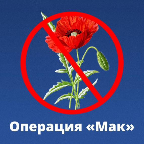 "Мак-2023". "Мак-2023".