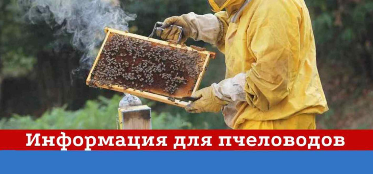 Информация для пчеловодов от сельхозтоваропроизводителяей ИП Грибов Антон Евгеньевич, ООО "Драйв Экспресс". Информация для пчеловодов от сельхозтоваропроизводителяей ИП Грибов Антон Евгеньевич, ООО "Драйв Экспресс".